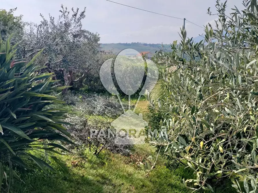 Immagine 28 di Terreno edificabile in vendita  in Costiera Occidentale Partenicense Balestrate a Balestrate