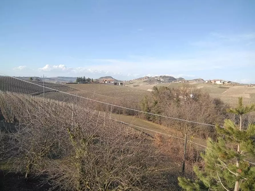 Immagine 3 di Terreno edificabile in vendita  a Dogliani