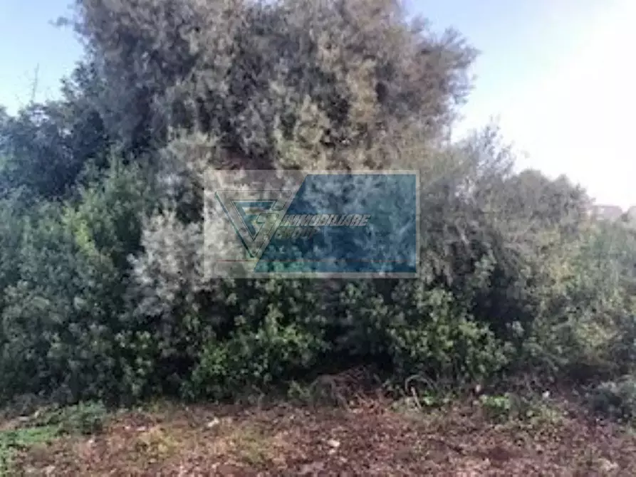 Immagine 7 di Terreno in vendita  in Via Brancati a Buccheri