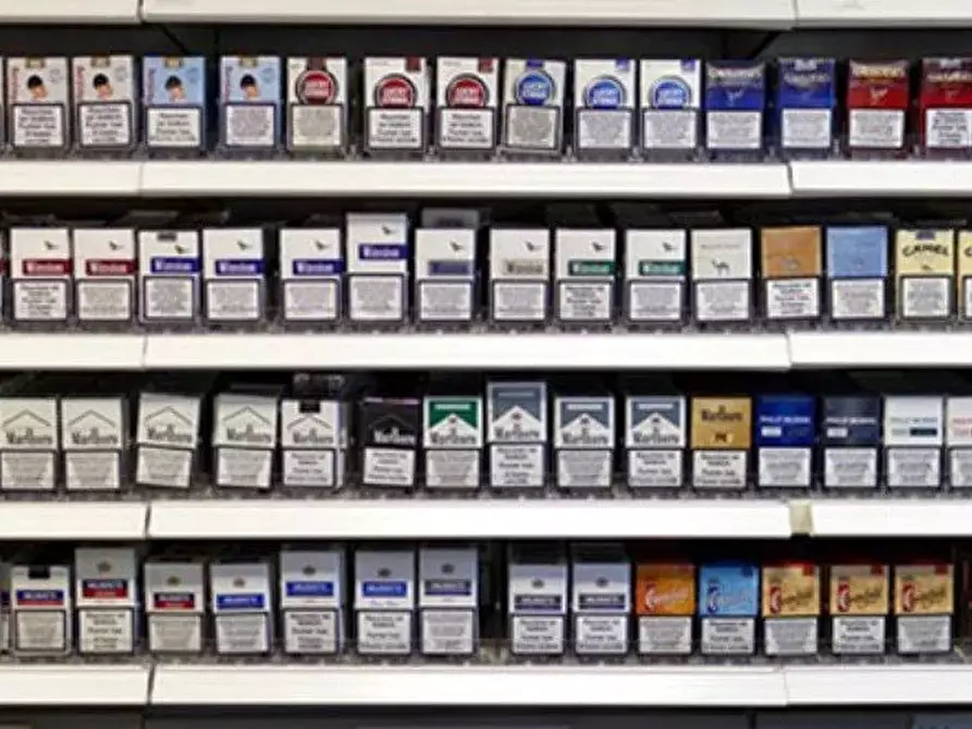 Immagine 6 di Attico in vendita  a Avegno