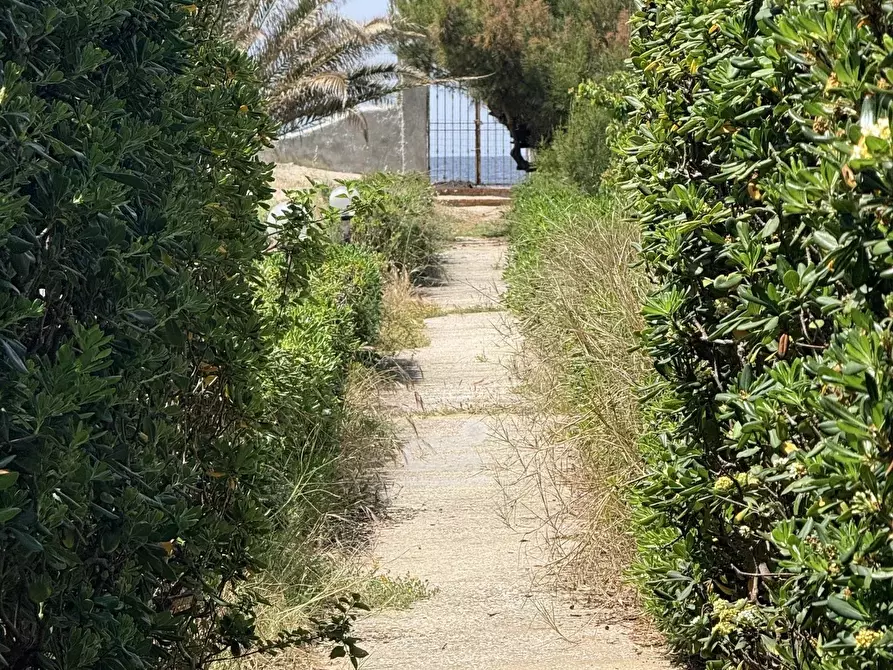 Immagine 7 di Terreno edificabile in vendita  a Marsala