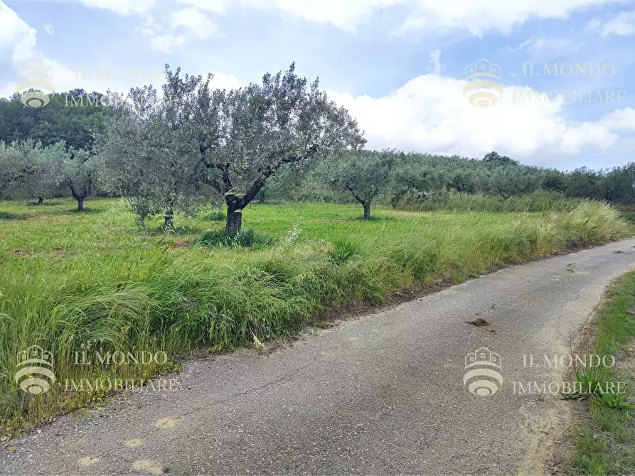 Immagine 2 di Casa bifamiliare in vendita  in Strada di Colle Fagiano a Palombara Sabina