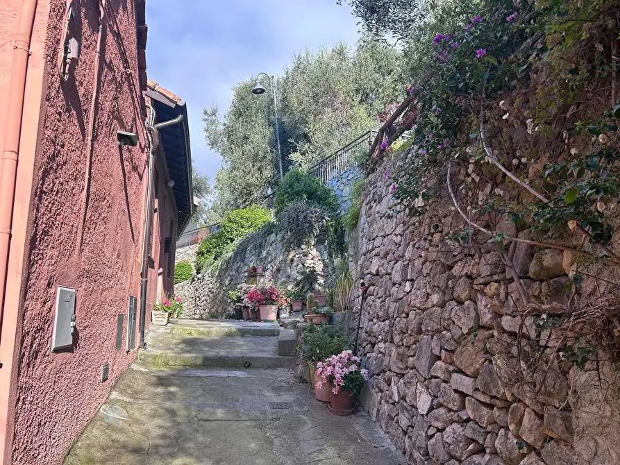 Immagine 11 di Casa trifamiliare in vendita  a Ventimiglia