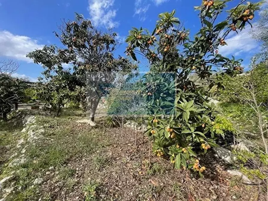 Immagine 1 di Terreno in vendita  in Via Salvo D'Acquisto a Siracusa