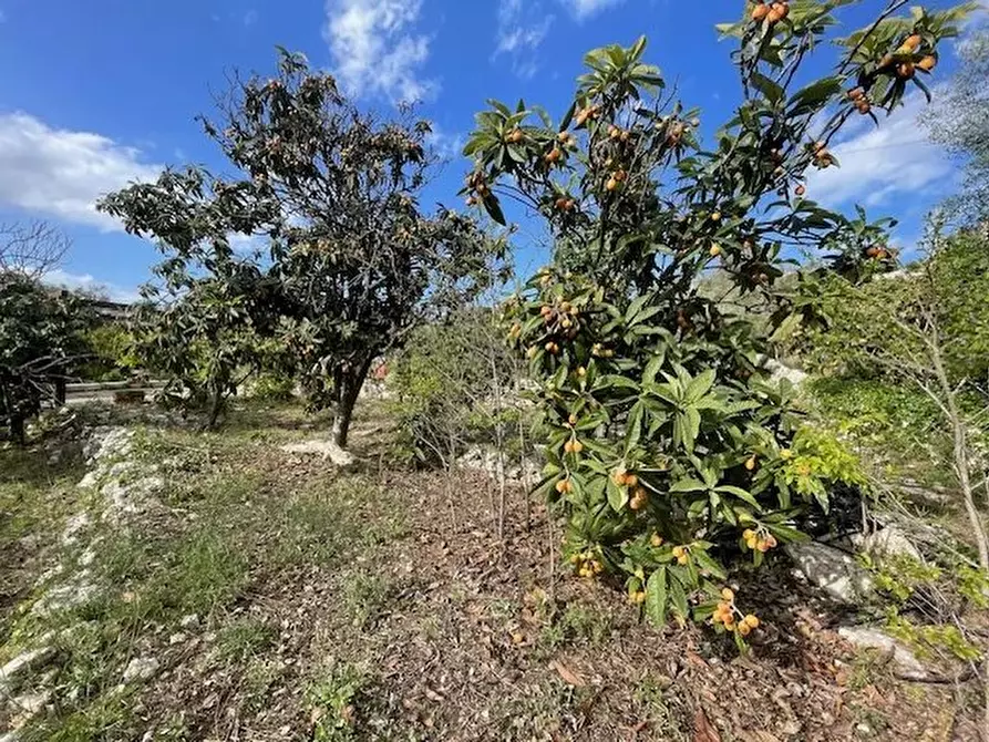 Immagine 1 di Terreno in vendita  in Via Salvo D'Acquisto a Siracusa