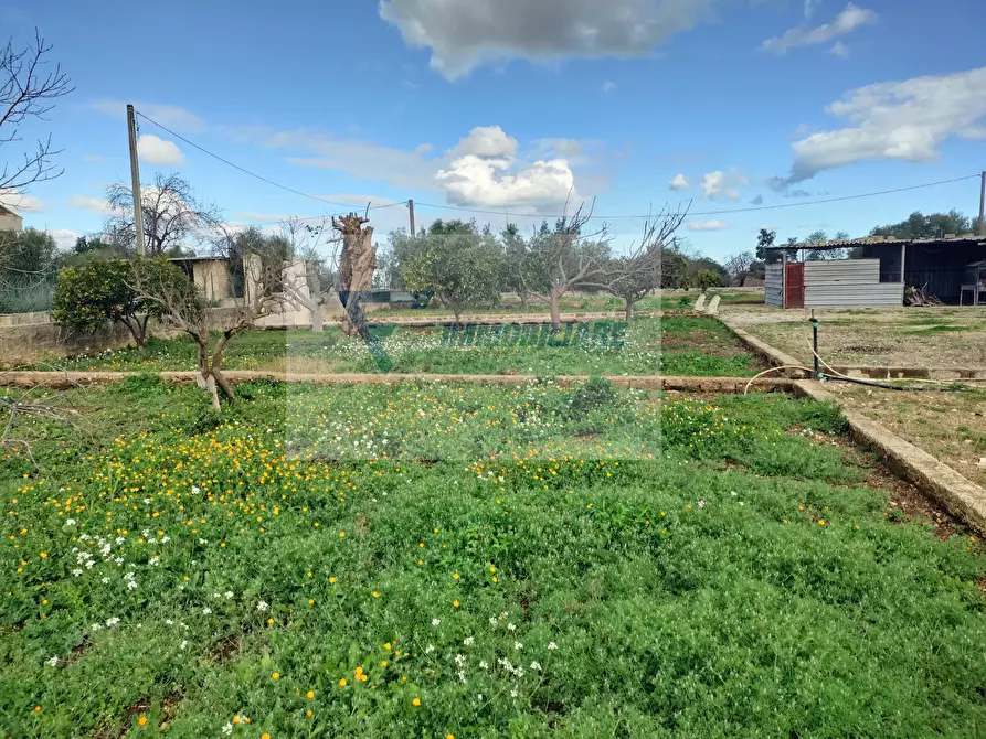 Immagine 4 di Terreno in vendita  in Contrada Biggemi a Buccheri