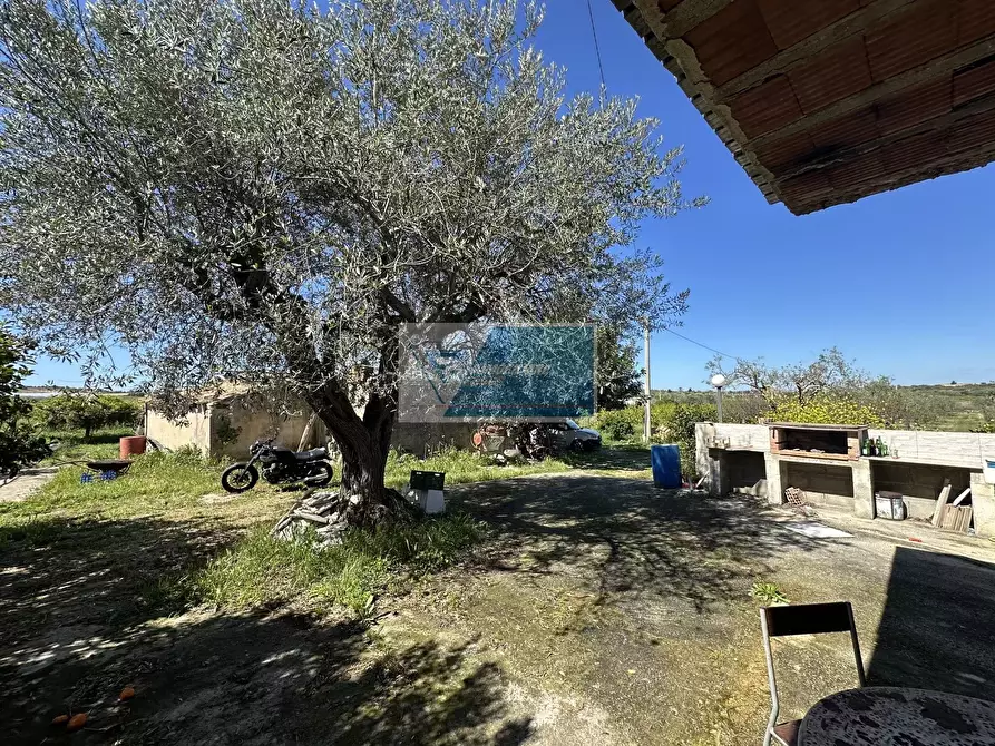 Immagine 4 di Terreno in vendita  a Noto