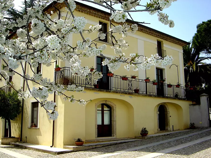 Immagine 1 di Terreno edificabile in vendita  a Altilia