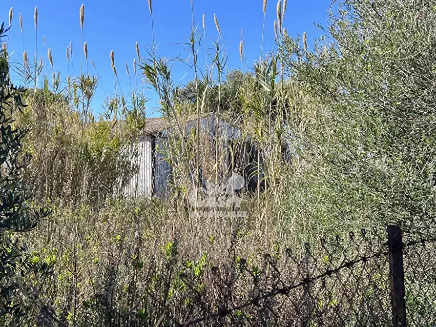 Immagine 23 di Terreno in vendita  a Marsala