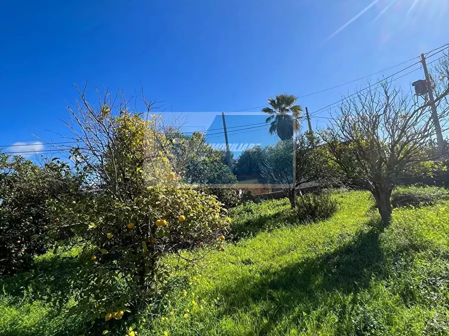 Immagine 7 di Terreno in vendita  in Via Del Pettirosso a Siracusa