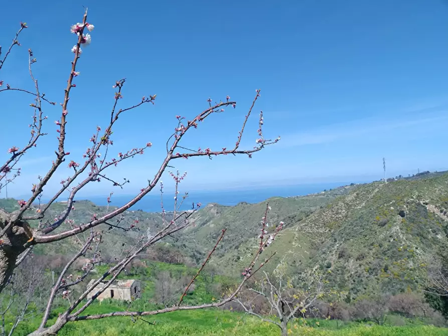 Immagine 13 di Terreno in vendita  in Contrada Bosco, roccavaldina, me a Condrò