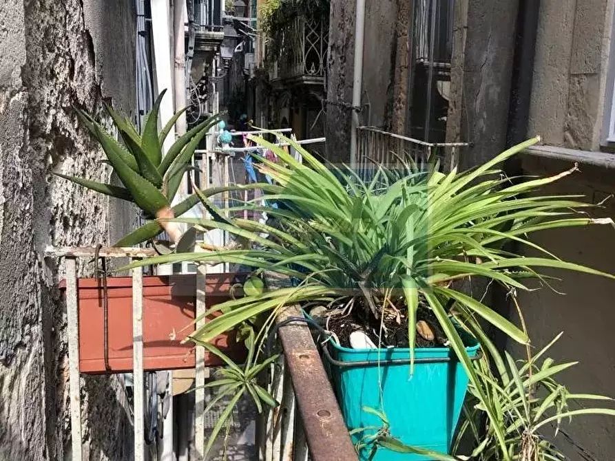 Immagine 5 di Casa trifamiliare in vendita  in Via dei Cordari a Siracusa