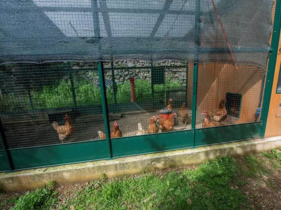 Immagine 47 di Terreno edificabile in vendita  in Via Nansola a Avegno