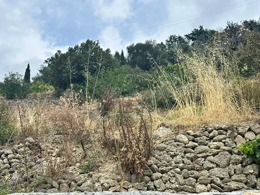 Immagine 4 di Terreno in vendita  in Via Monsignor Nicolò Peitavino a Ventimiglia