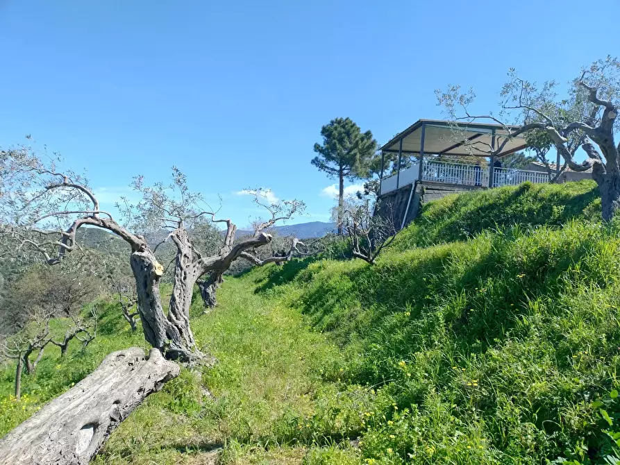 Immagine 20 di Terreno in vendita  in Contrada Bosco, roccavaldina, me a Condrò