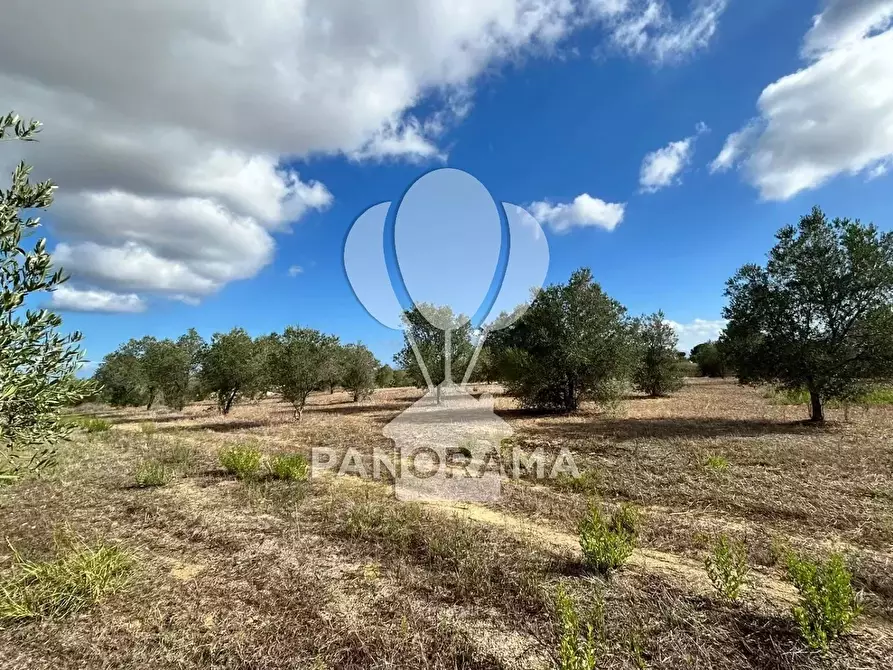 Immagine 20 di Terreno edificabile in vendita  in Strada Statale 113 a Partinico