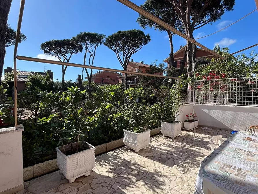 Immagine 10 di Terreno edificabile in vendita  in Viale Adriatico, 34 a Anzio