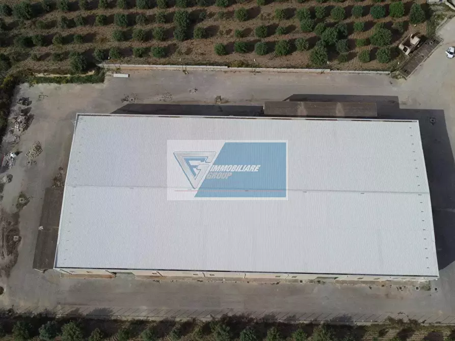 Immagine 5 di Casa bifamiliare in affitto  a Avola