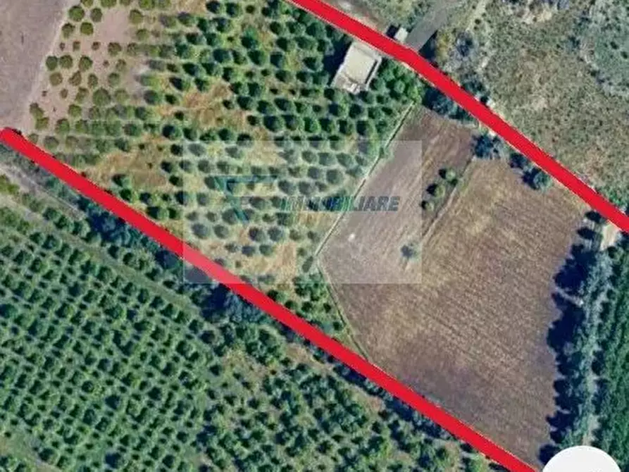 Immagine 41 di Terreno in vendita  in Strada Tremmilia a Siracusa