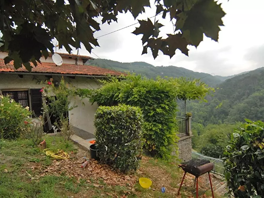 Immagine 17 di Terreno edificabile in vendita  a Bergolo