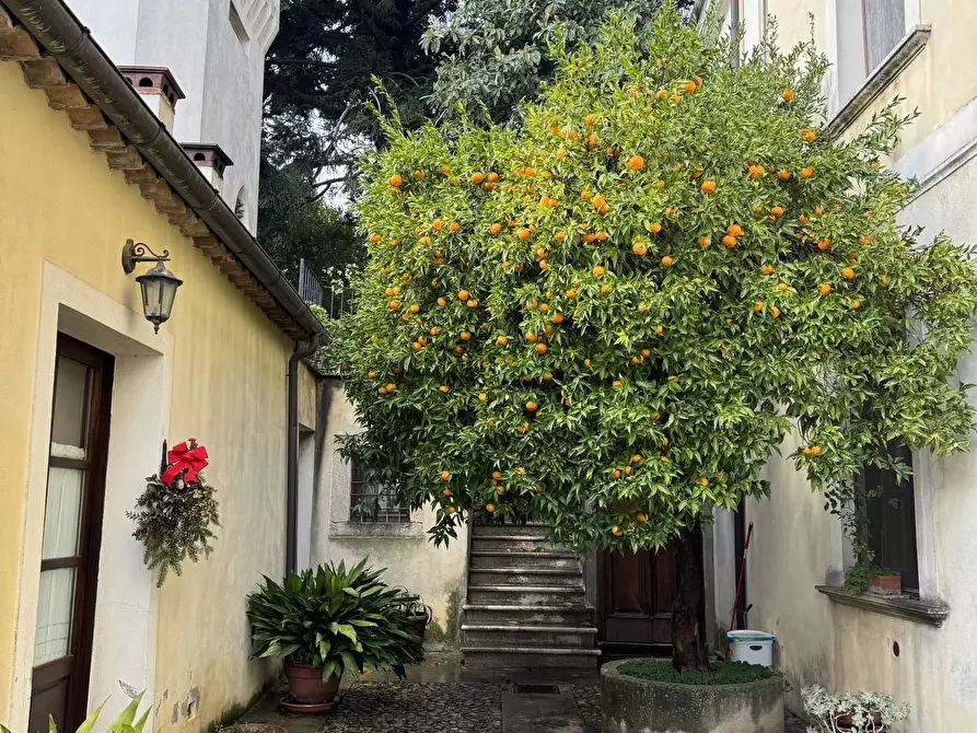 Immagine 5 di Terreno edificabile in vendita  a Altilia