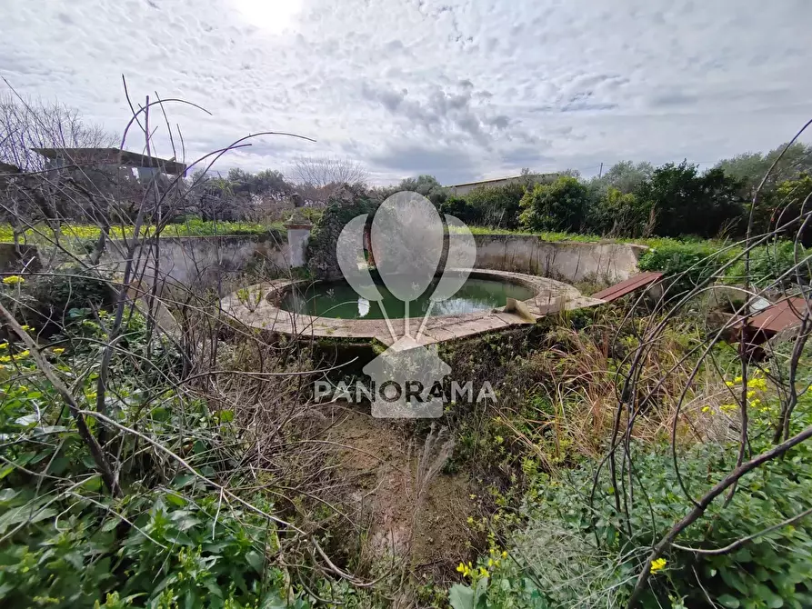 Immagine 10 di Attico in vendita  a Partinico