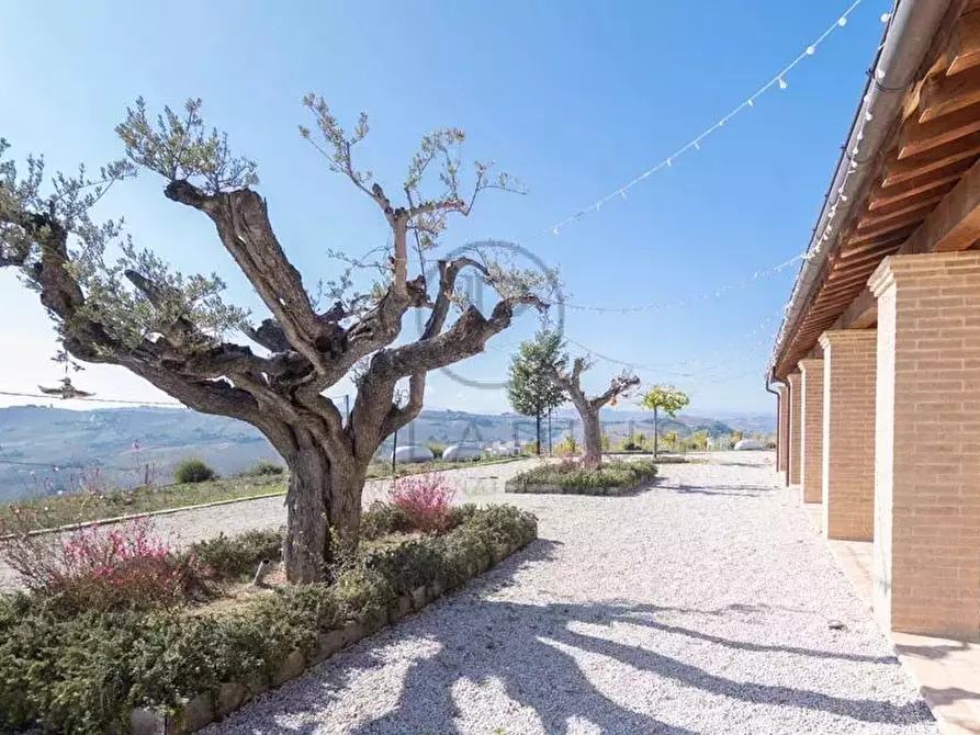 Immagine 50 di Terreno edificabile in vendita  in ripatransone a Ripatransone