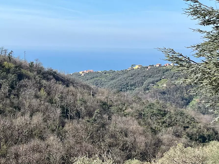 Immagine 3 di Terreno edificabile in vendita  in Sorlana a Lavagna
