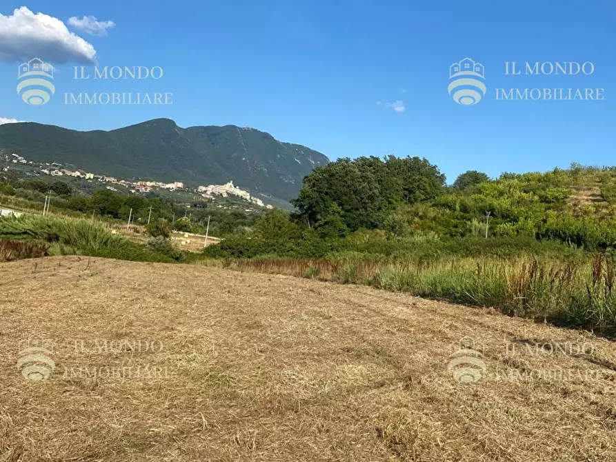 Immagine 2 di Terreno in vendita  in Strada di Colle Pedeschiavo a Palombara Sabina