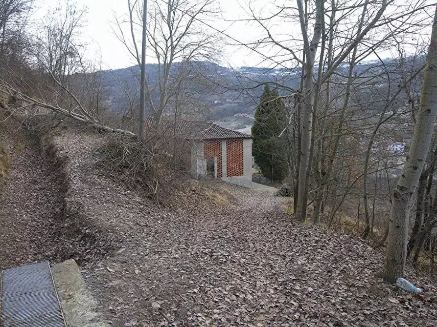 Immagine 16 di Terreno edificabile in vendita  a Albaretto Della Torre