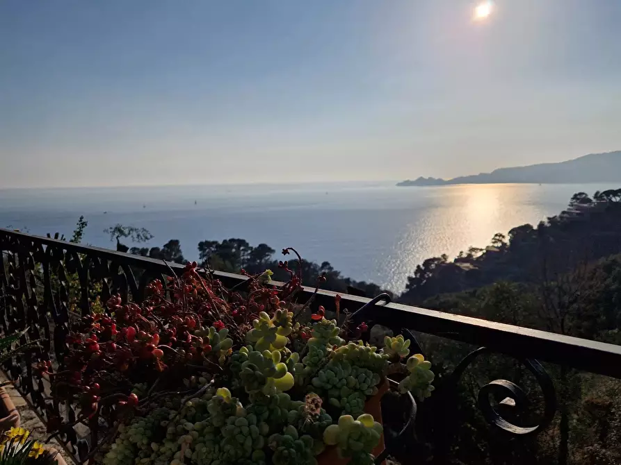 Immagine 10 di Casa trifamiliare in vendita  in Sant'Andrea di Rovereto a Chiavari