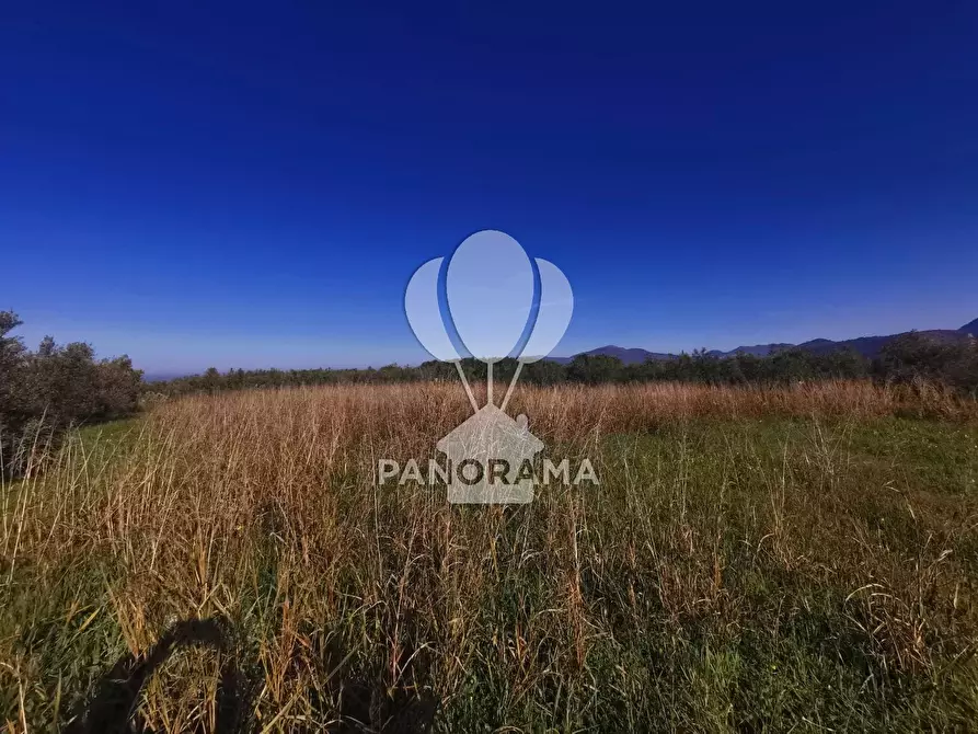 Immagine 5 di Terreno in vendita  a Partinico