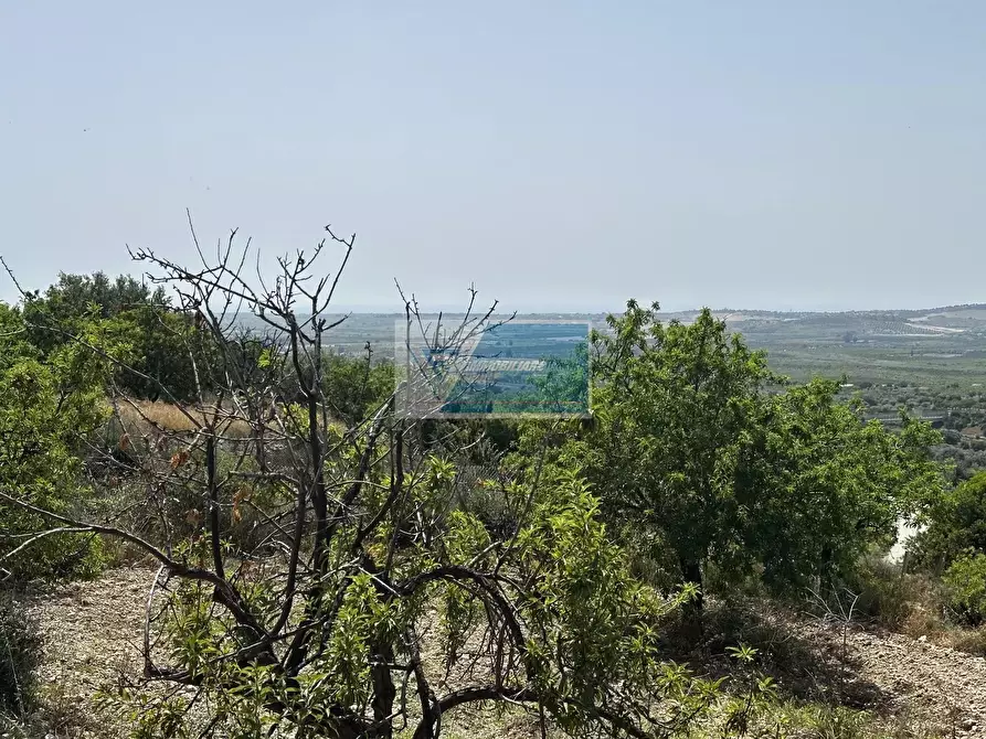Immagine 4 di Terreno in vendita  a Noto