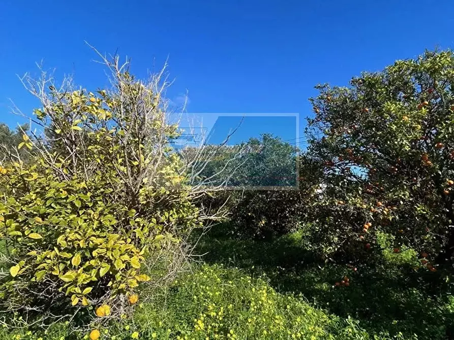 Immagine 10 di Terreno in vendita  in Via Del Pettirosso a Siracusa