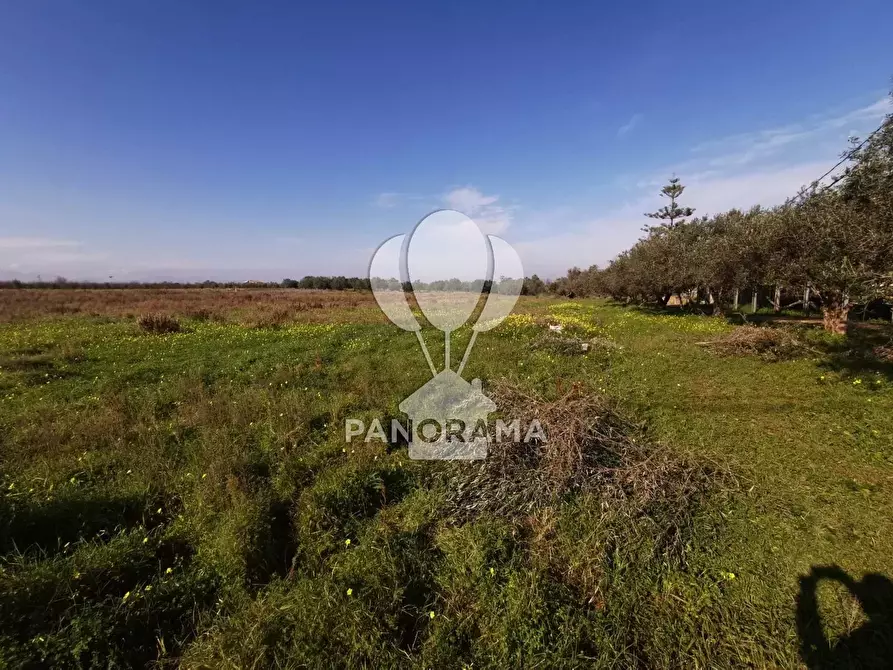 Immagine 3 di Terreno in vendita  in Via San Carlo a Partinico