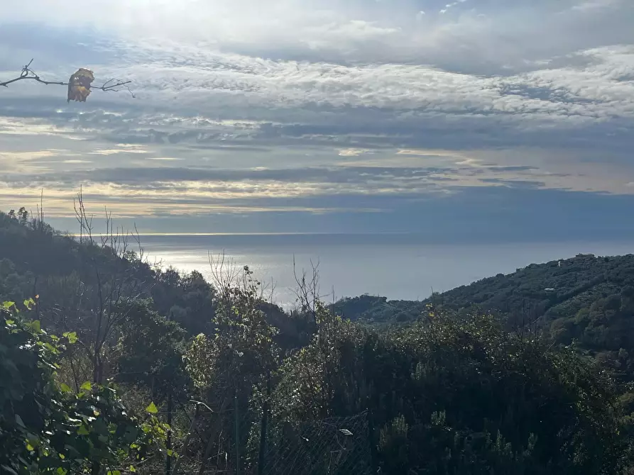 Immagine 7 di Terreno edificabile in vendita  in Sorlana a Lavagna