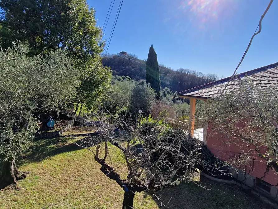 Immagine 13 di Terreno edificabile in vendita  in Via Domenico Canata a Avegno