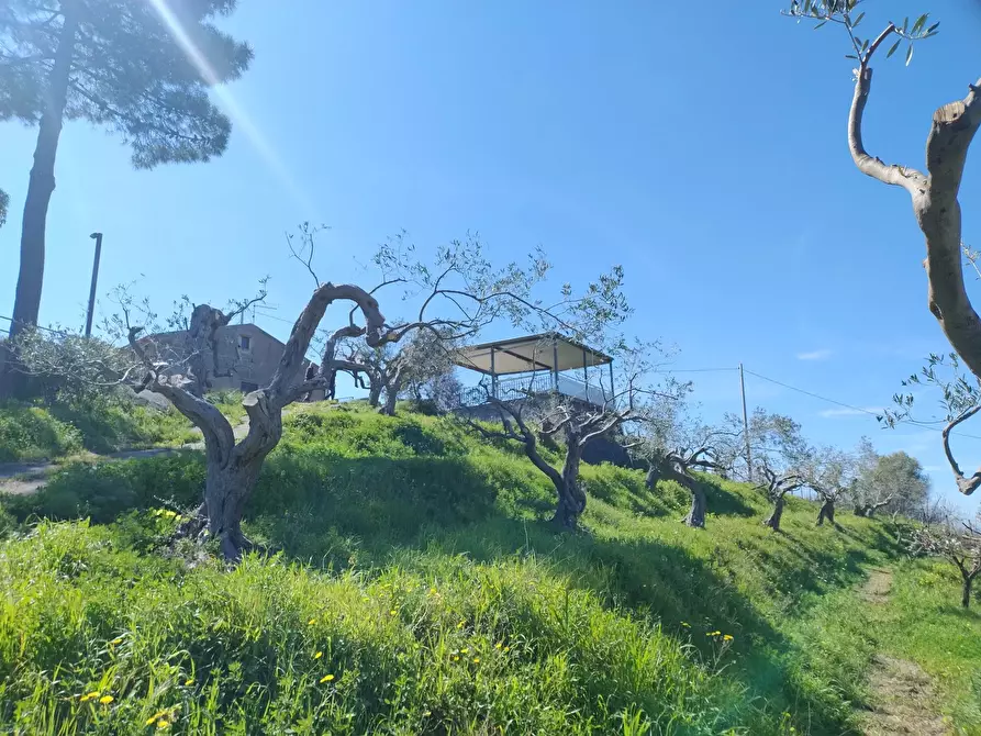 Immagine 12 di Terreno in vendita  in Contrada Bosco, roccavaldina, me a Condrò