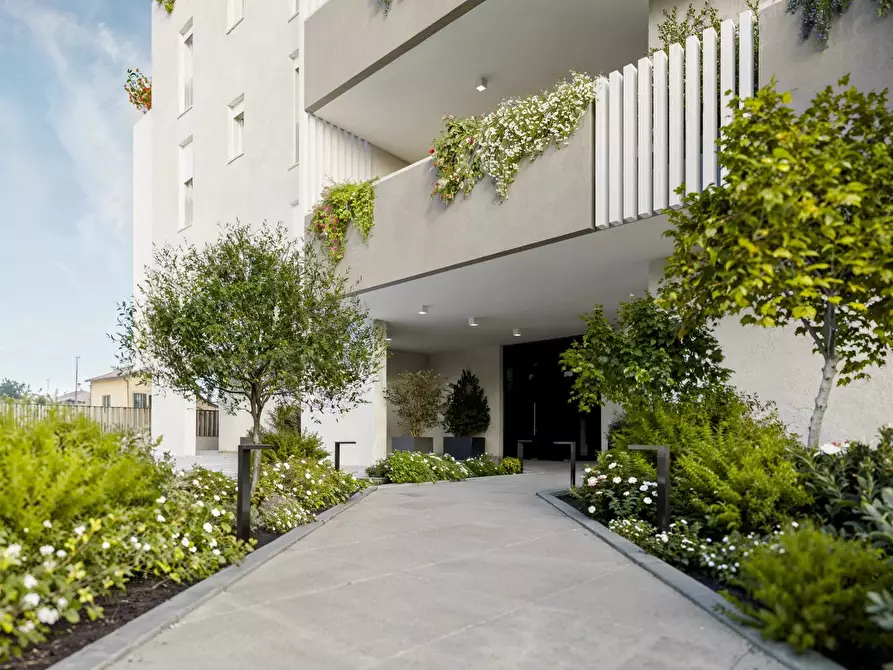 Immagine 5 di Casa trifamiliare in vendita  a Piove Di Sacco