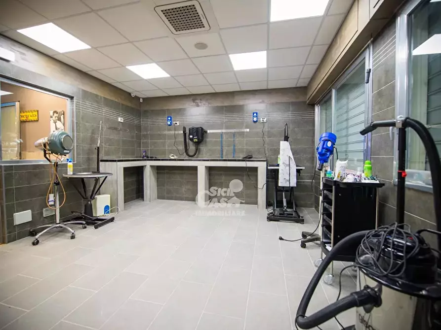 Immagine 6 di Attico in affitto  a Marsala