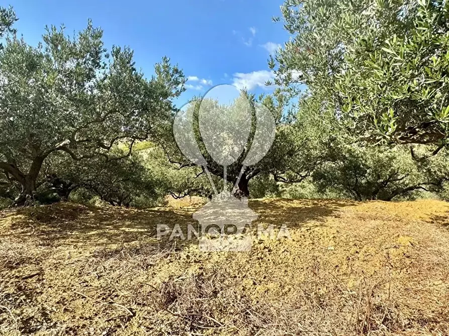 Immagine 38 di Terreno edificabile in vendita  in Contrada Casale a Alcamo
