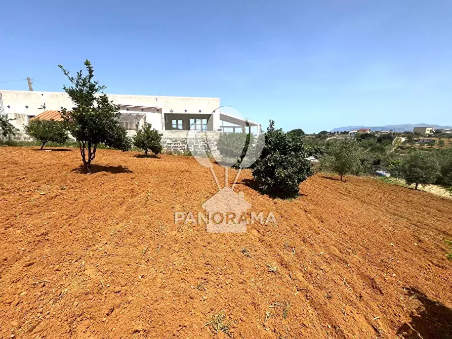 Immagine 6 di Terreno in vendita  in Contrada Vallone del Lupo a Alcamo