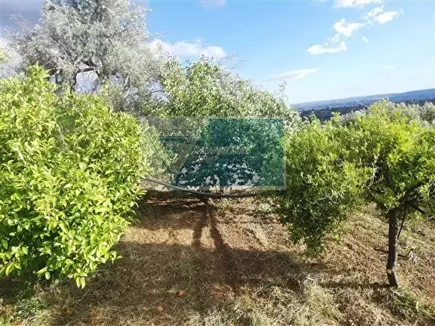 Immagine 2 di Terreno in vendita  a Siracusa