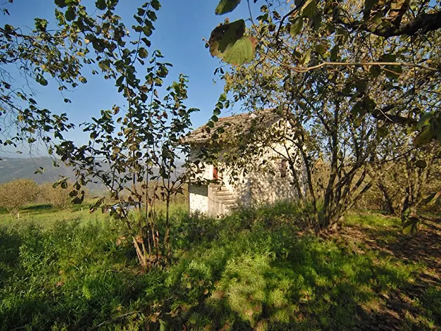 Immagine 17 di Terreno edificabile in vendita  a Albaretto Della Torre