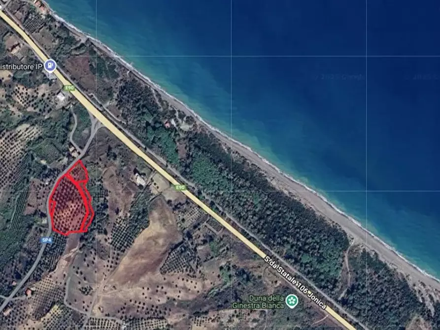 Immagine 1 di Terreno in vendita  in contrada Cappellieri a Cirò