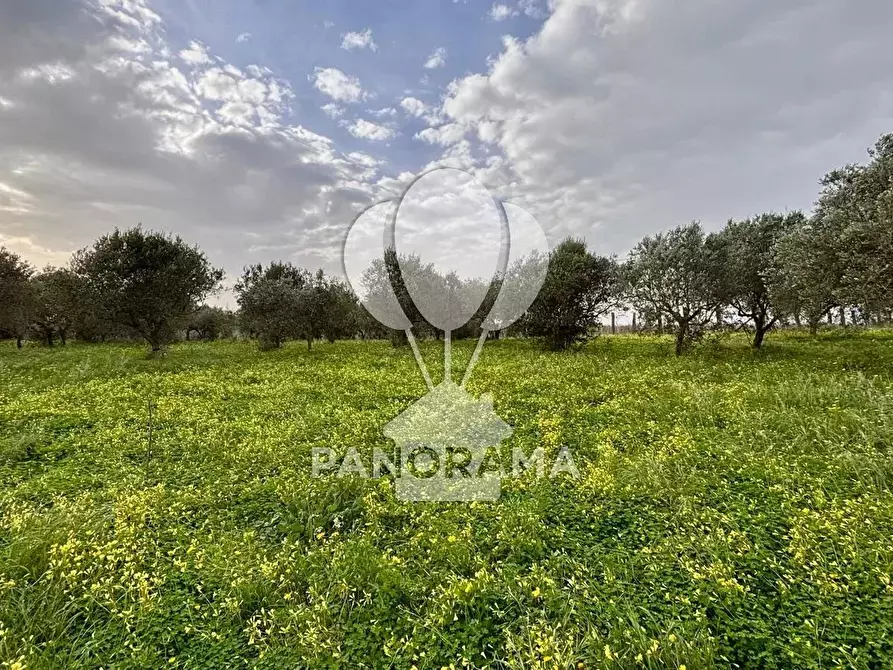 Immagine 18 di Terreno edificabile in vendita  in Contrada Bosco Falconeria SNC, 90047 Partinico PA, Italy a Partinico