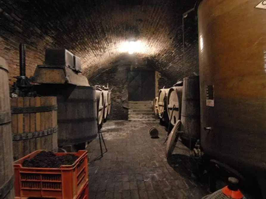 Immagine 5 di Terreno edificabile in vendita  a Barolo