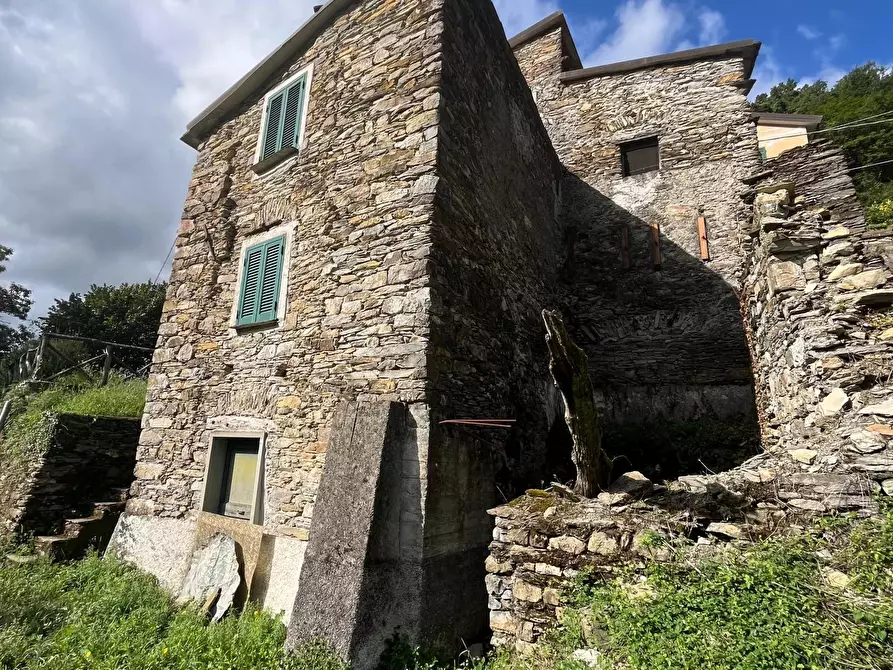 Immagine 3 di Terreno edificabile in vendita  a Carasco