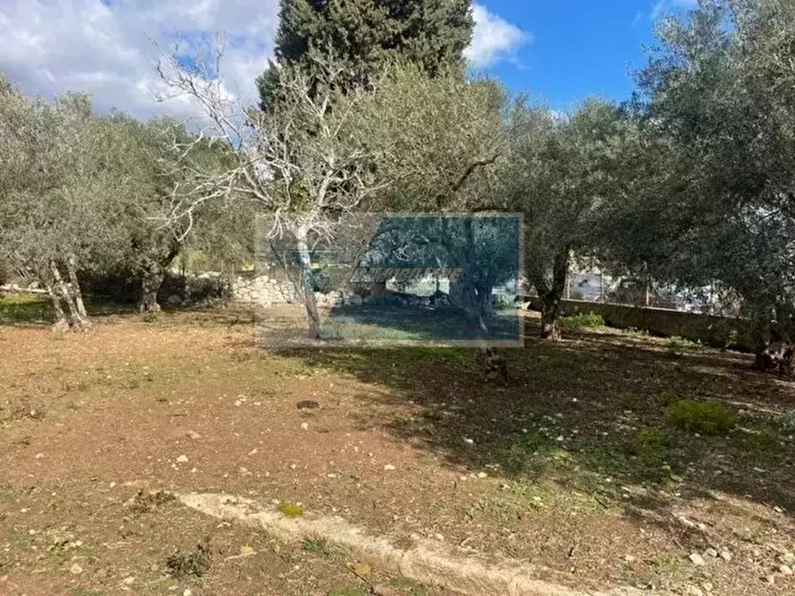Immagine 6 di Terreno in vendita  in Viale Edoardo Garrone a Buccheri