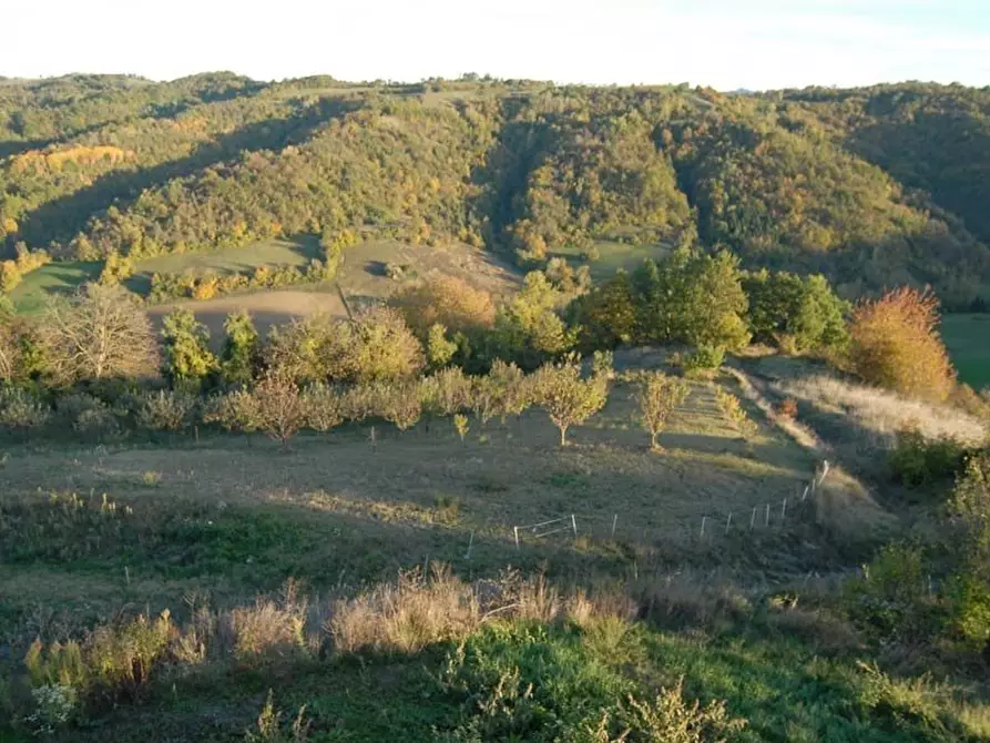 Immagine 38 di Attico in vendita  a Alto